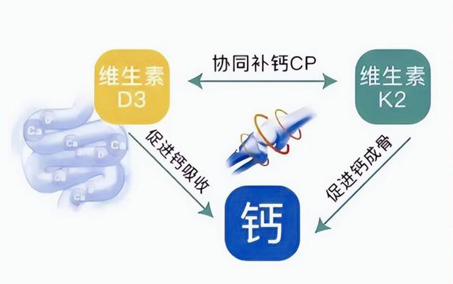 骨力之道，协同为钥：解码维生素德国D3+K2的“黄金组合”，香港保健品代工厂带来解说